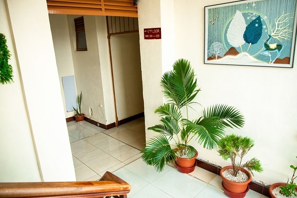 Floor Courtyards with Beautiful Flowers