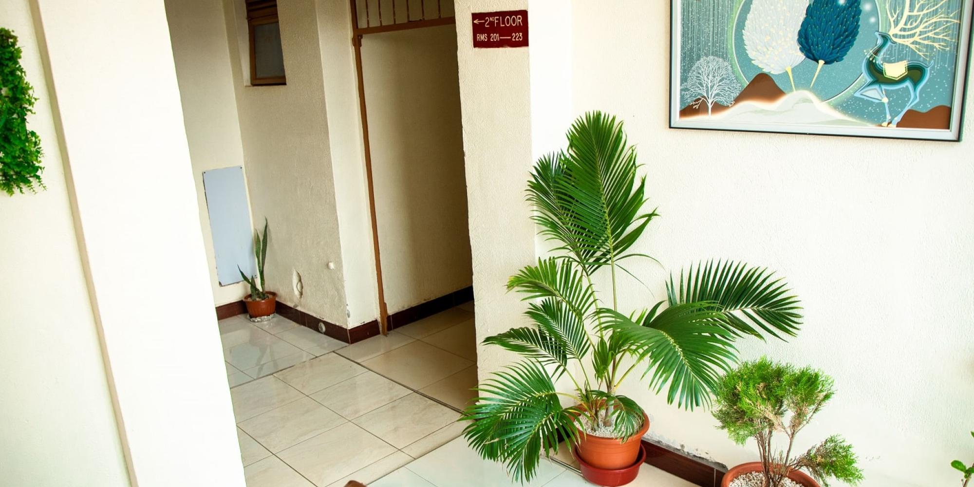Excellent Hallways with Beautiful Flowers